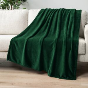 faire_b12_05 Classic Fleece Throw Blanket
